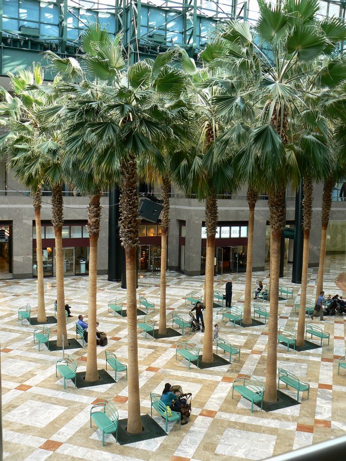 Winter Garden: Winter Garden 007